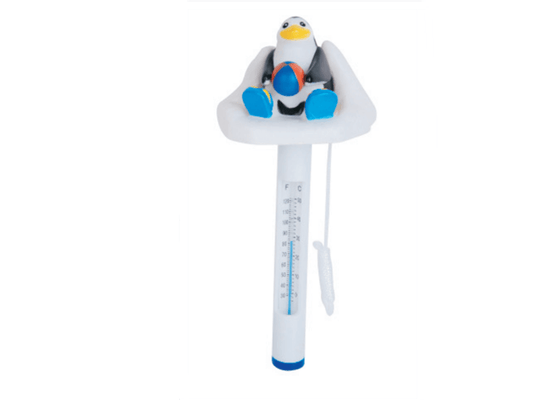 Swimming Pool Thermometers