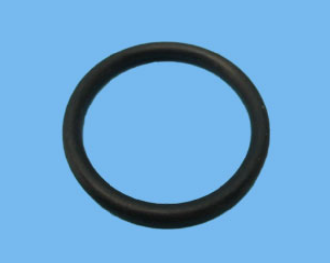Valve Seat gasket 1.5 inch - Triton Chlorinator Oring CL100