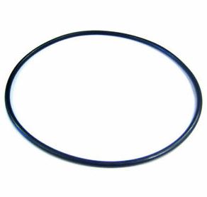 Pentair O ring filter